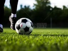 詹姆斯智商,高过哈姆,阿里纳斯对,10bet体育指数,体育赛事指数,足球指数数据,赛事指数平台,体育数据