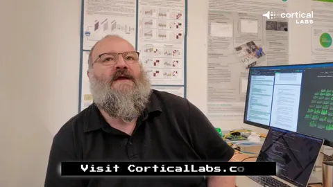 中国网球赛事焦点：ATP与WTA动态盘点