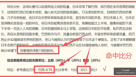 澳维超深度解析赛事奥秘，一场不容错过的精彩解析